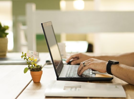 Activités amusantes en ligne