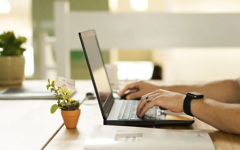 Activités amusantes en ligne